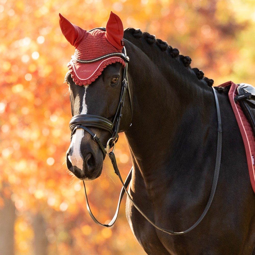 LeMieux Classic Fly Hood Red