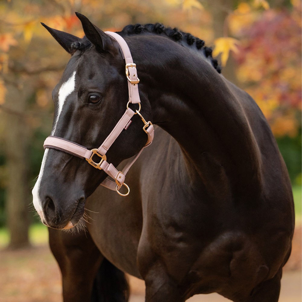LeMieux Essence Headcollar Pink