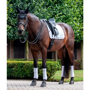 LeMieux LeMieux Loire Classic Dressage Square in White