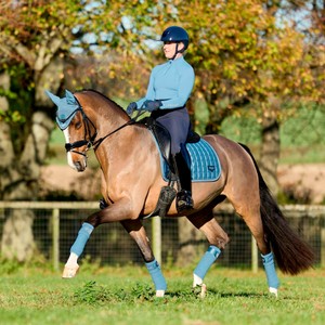 LeMieux LeMieux Loire Classic Dressage Square in Ice Blue