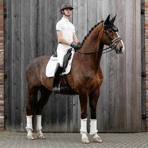 LeMieux LeMieux Suede Dressage Square in White