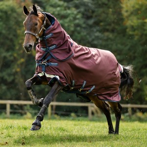 Horseware Horseware Amigo Bravo 1200D Plus Lite Turnout Rug in Burgundy/Navy