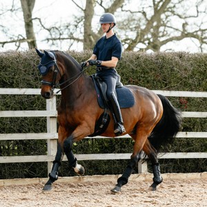 LeMieux LeMieux Suede Dressage Square in Navy