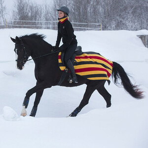 Horseware Rambo Newmarket Competition Sheet in Witney Stripe/Gold