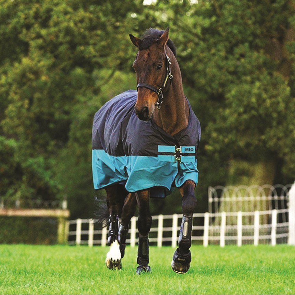 Horseware Amigo Mio Medium Turnout Rug Black