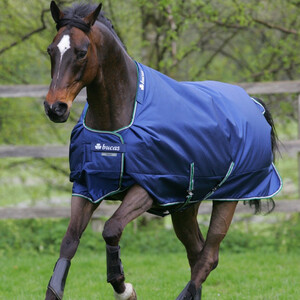 Bucas Bucas Smartex Medium Turnout Rug in Blue