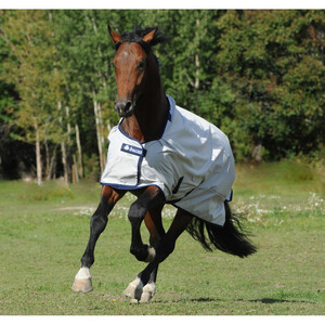 Bucas Bucas Sun Shower Turnout Rug in Silver
