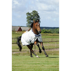 Bucas Bucas Sun Shower Turnout Rug in Silver