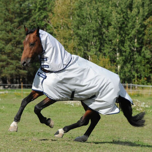 Bucas Bucas Sun Shower Turnout Rug in Silver