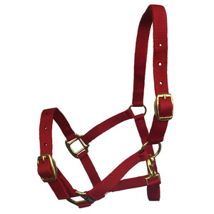 Shires Shires Adjustable Headcollar in Red