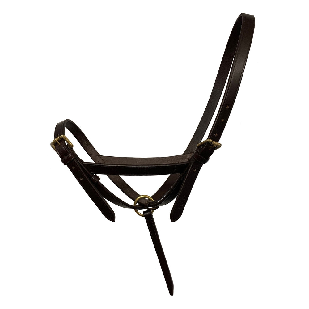 Shires Shires Velociti Gara Leather Foal Slip in Havana