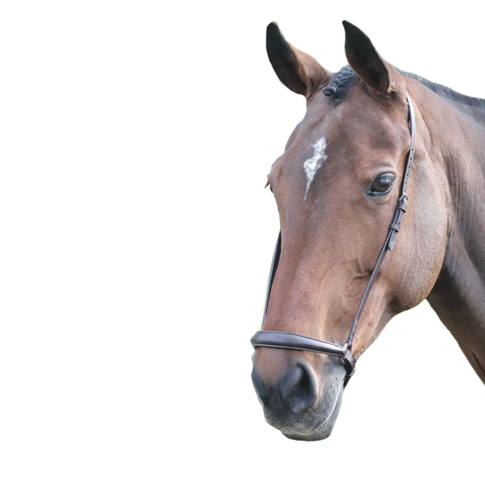 Nasello Per Cavallo Shires Bleinheim – Modello A Goccia, Pelle Di Qualità, Accessori Inox, Misura COB, Color Havana - 6