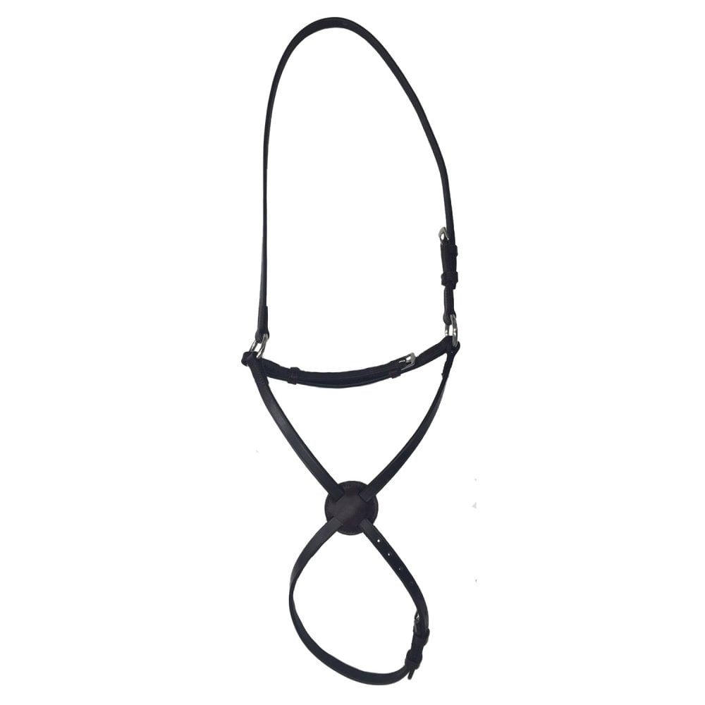 Shires Shires Velociti Gara Grackle Noseband in Havana