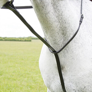 Shires Shires Velociti Gara Standing Martingale in Black