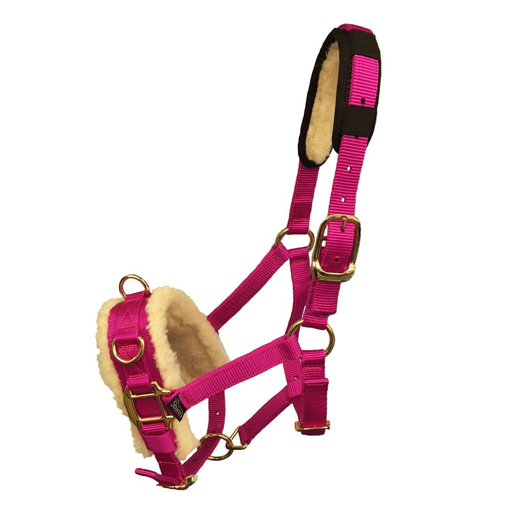Shires Shires Fleece Lined Lunge Cavesson in Raspberry