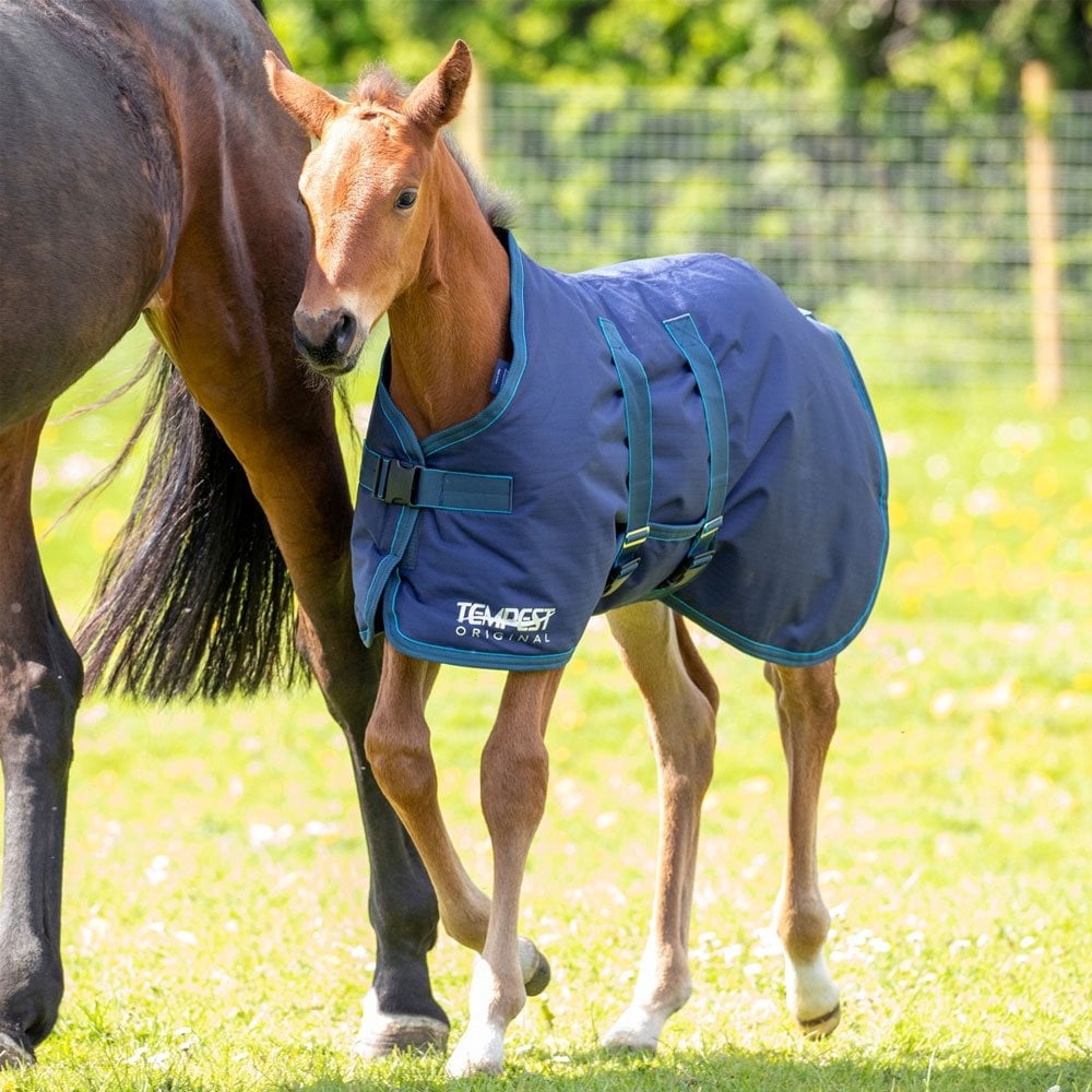Shires Tempest Foal Turnout Rug Navy