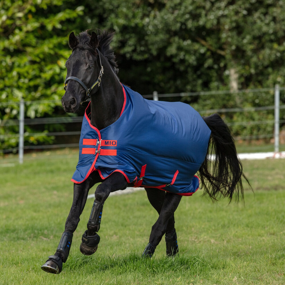 Horseware Amigo Mio Medium Turnout Rug Blue