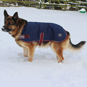 Mackey Mackey Buster Dog Coat in Navy/Burgundy