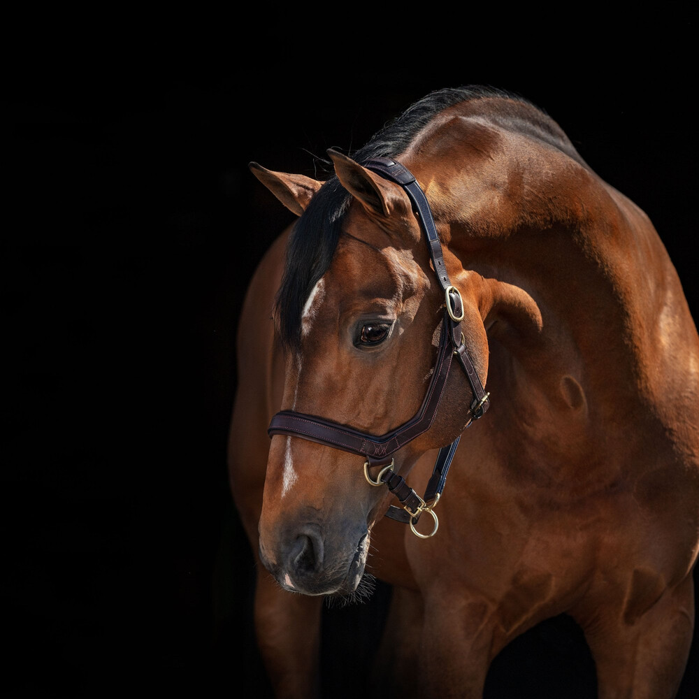 Horseware Rambo Micklem Headcollar Brown