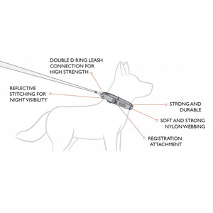 EzyDog EzyDog Double Up Collar in Black