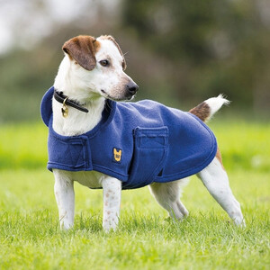 Shires Shires Digby & Fox Dog Towel Coat in Navy