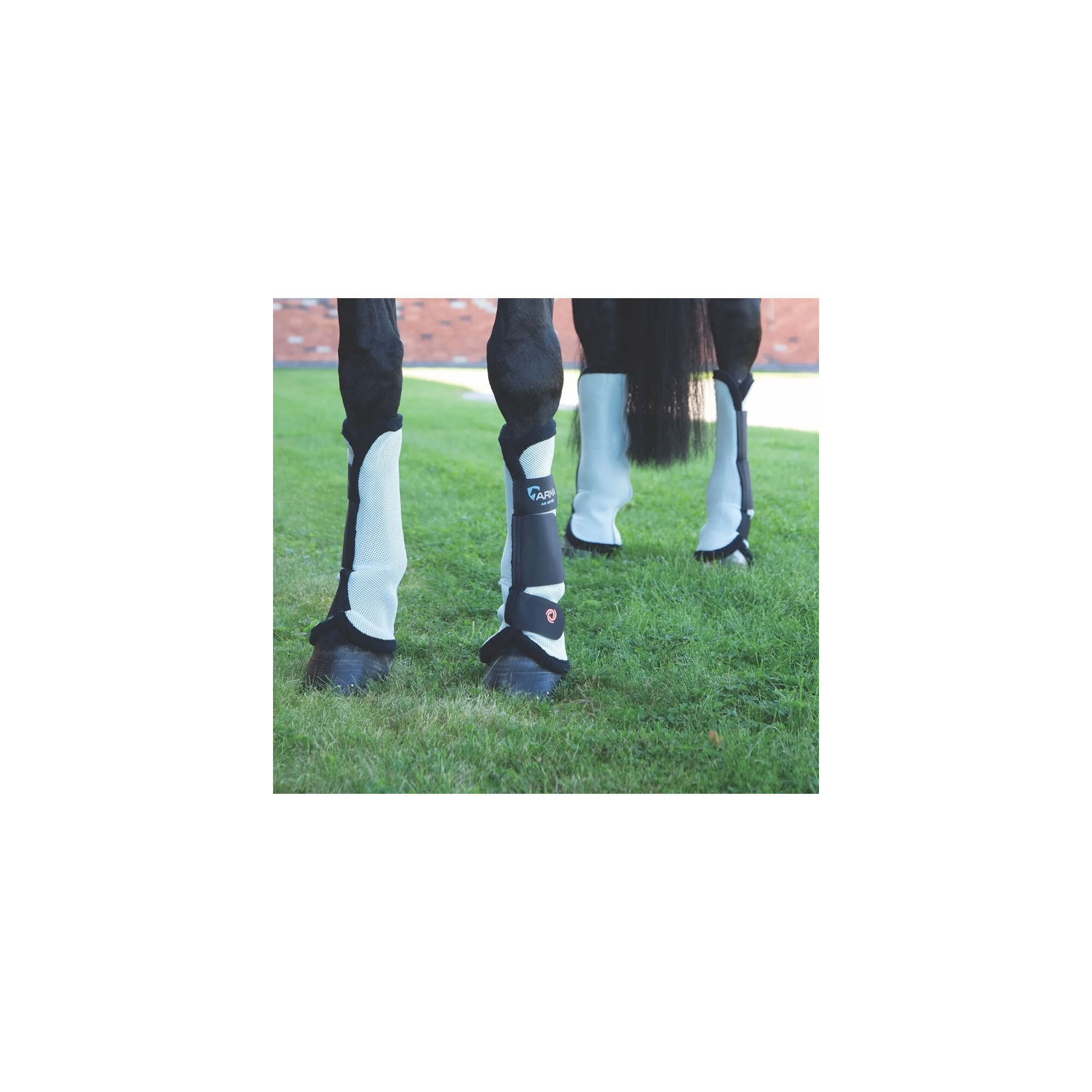 Shires ARMA Air Flow Training Boots - Black - Arma-1933-BLK - Tack Of - View #10