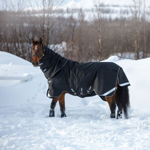 Horseware Amigo Super Bravo Plus Medium Turnout Rug in Black/White