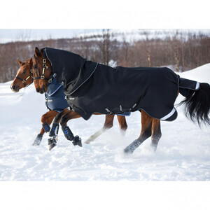Horseware Amigo Super Bravo Plus Medium Turnout Rug in Black/White