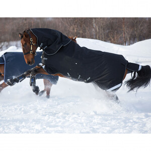 Horseware Amigo Super Bravo Plus Medium Turnout Rug in Black/White