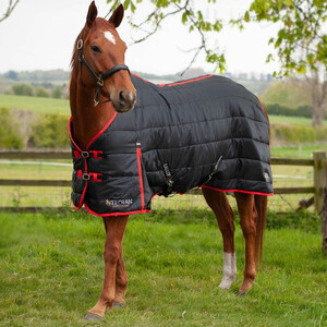 Gallop Gallop Trojan 200g Stable Rug Clearance in Black/Red