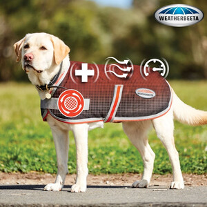 Weatherbeeta Weatherbeeta Therapy-Tec Dog Rug in Black/Silver & Red