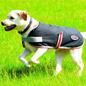 Weatherbeeta Weatherbeeta Therapy-Tec Dog Rug in Black/Silver & Red