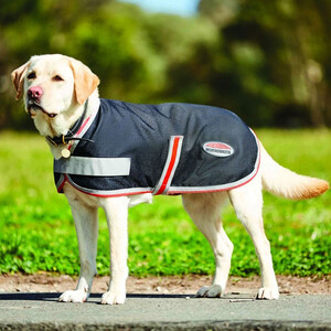 Weatherbeeta Weatherbeeta Therapy-Tec Dog Rug in Black/Silver & Red