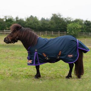 Gallop Gallop Ponie Lite Turnout Rug in Navy/Purple
