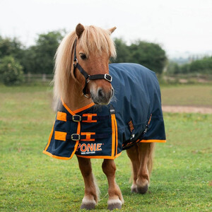 Gallop Gallop Ponie 100g Turnout Rug in Navy/Orange