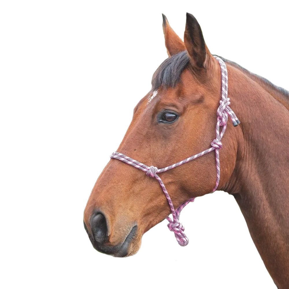 Shires Shires Rope Control Headcollar in Pink/Black
