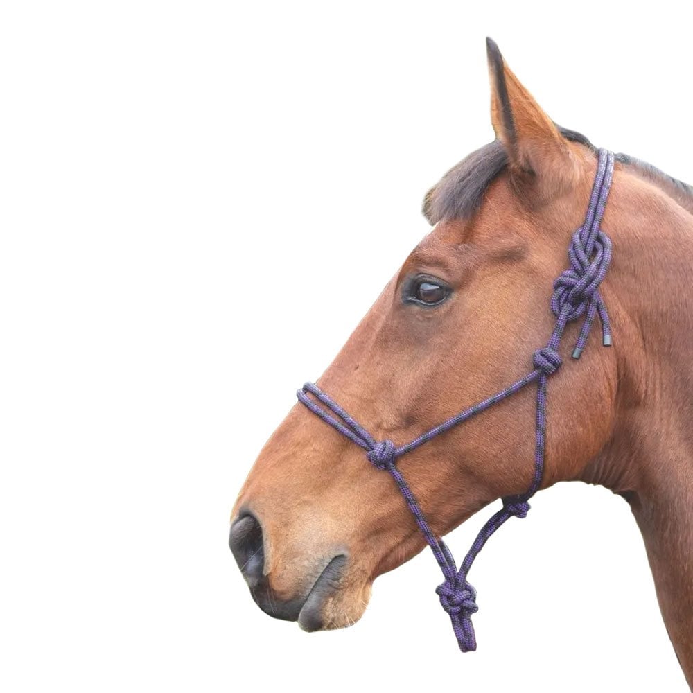 Shires Shires Rope Control Headcollar in Purple/Black
