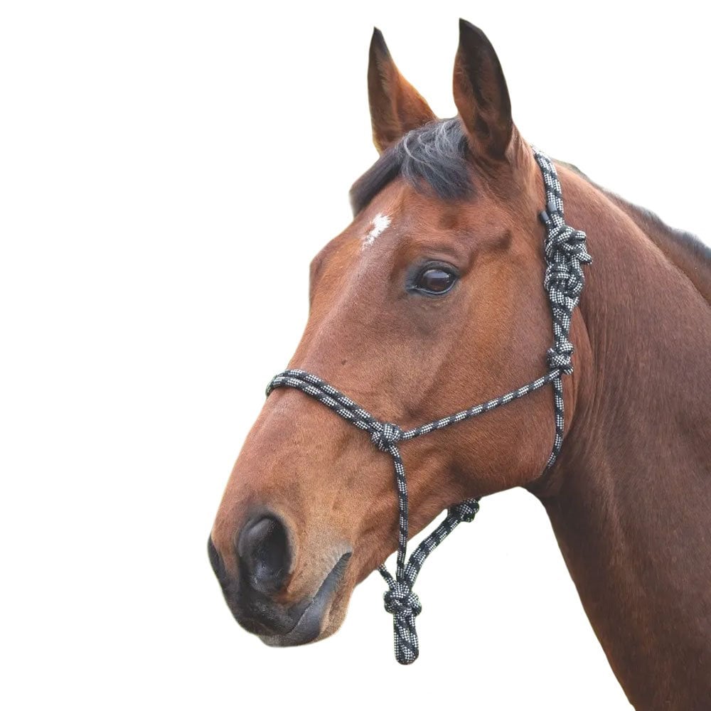 Shires Shires Rope Control Headcollar in Black/White