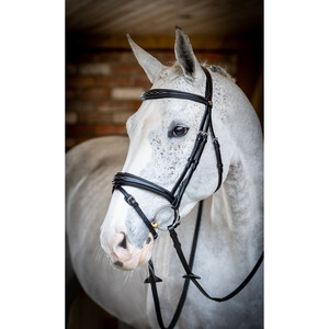 LeMieux LeMieux Kudos Competition Flash Bridle in Black