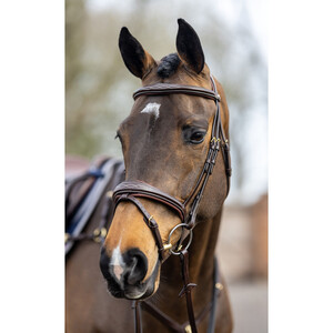 LeMieux LeMieux Kudos Competition Flash Bridle in Havana