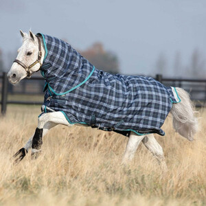 Horseware Horseware Rhino Pony Plus Medium Turnout in Navy Check/Teal