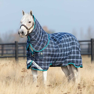 Horseware Horseware Rhino Pony Plus Medium Turnout in Navy Check/Teal