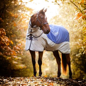 Horseware Horseware Rambo Autumn Series Turnout Rug in Navy/Grey