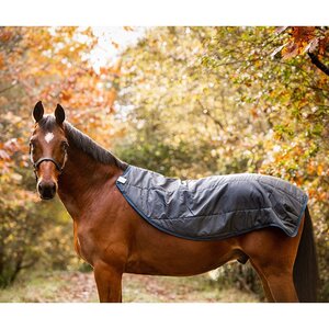 Horseware Horseware Rambo Autumn Series Turnout Rug in Navy/Grey