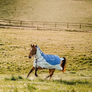 Horseware Horseware Rambo Autumn Series Turnout Rug in Navy/Grey