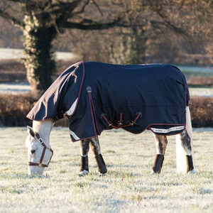 LeMieux LeMieux Kudos 100g Turnout Rug in Navy