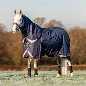 LeMieux LeMieux Kudos 100g Turnout Rug in Navy