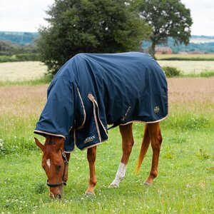 Gallop Gallop Trojan 100g Combo Turnout Rug Clearance in Navy/Beige