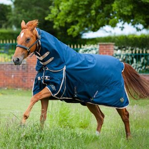 Gallop Gallop Trojan 100g Combo Turnout Rug Clearance in Navy/Beige