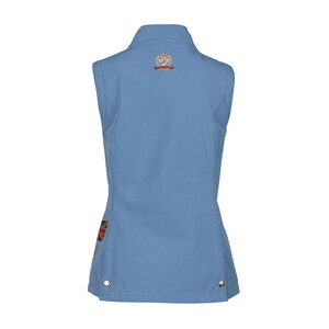 Shires Shires Aubrion Team Gilet in Steel